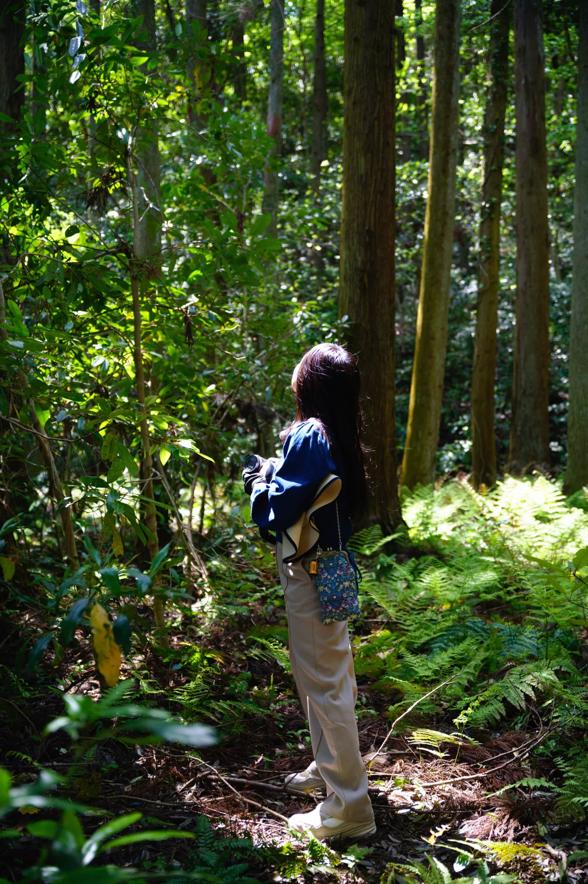 Shimane 26